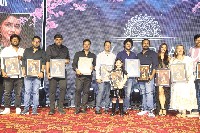 Hi Nanna Movie Success Celebrations Photos